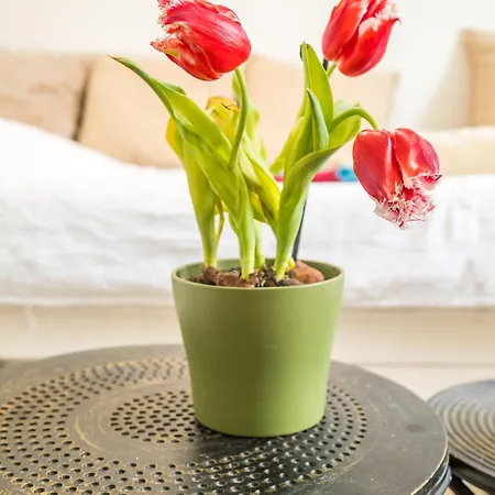 Independant Proche Gare