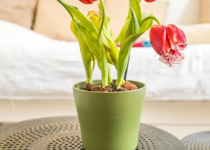 Independant Proche Gare